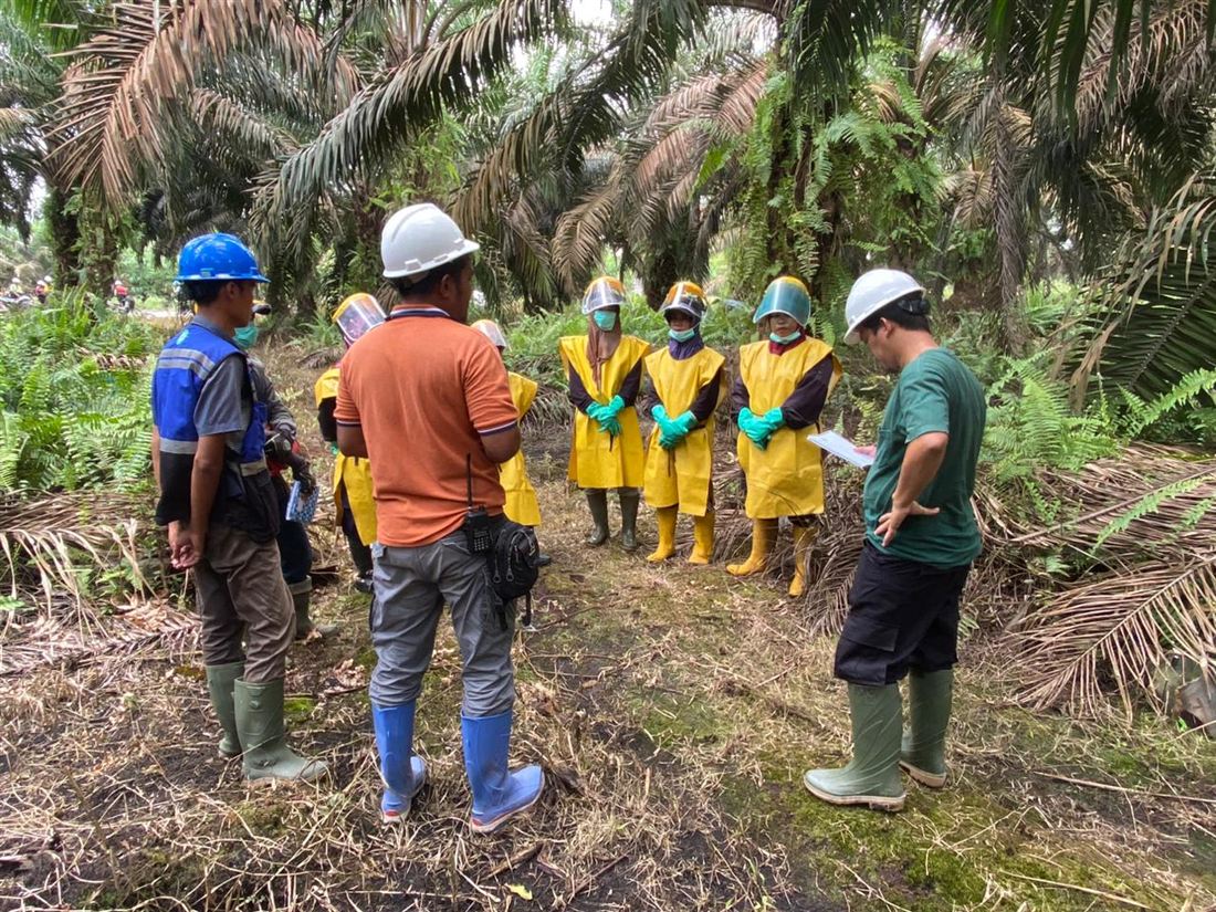 Kunjungan auditor ISPO di perkebunan PT Inti Agro Makmur